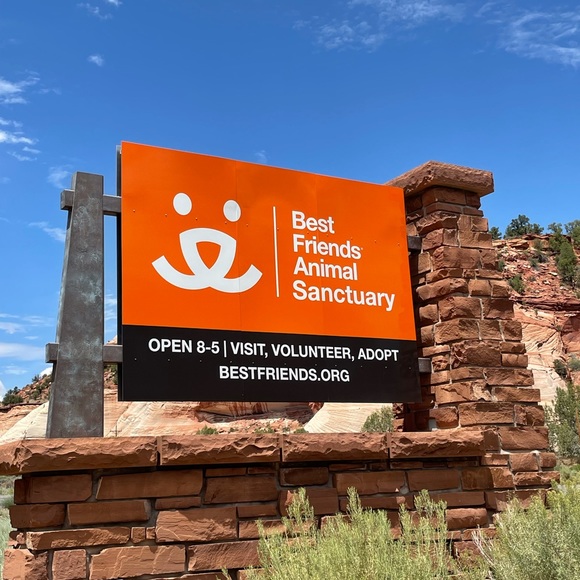 Meet your Posher, Helen Brianna - Picture 10 of 17